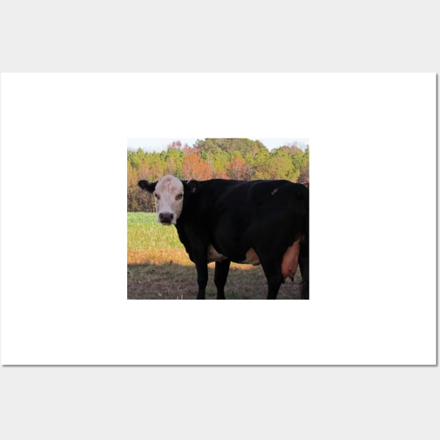 White Face Cow Wall Art by Cynthia48